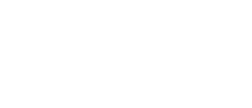 neap.digital logo